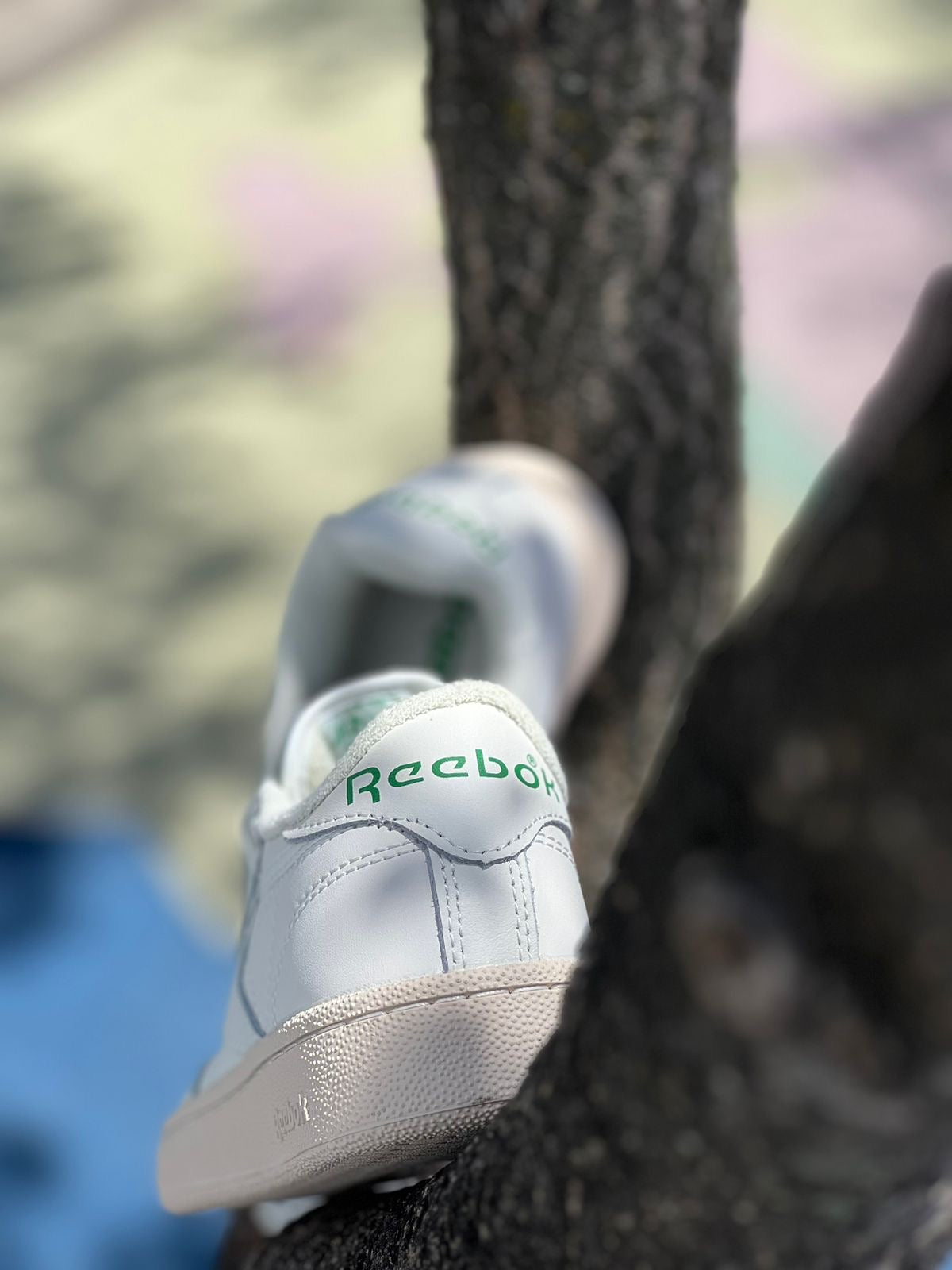Reebok Club C 85