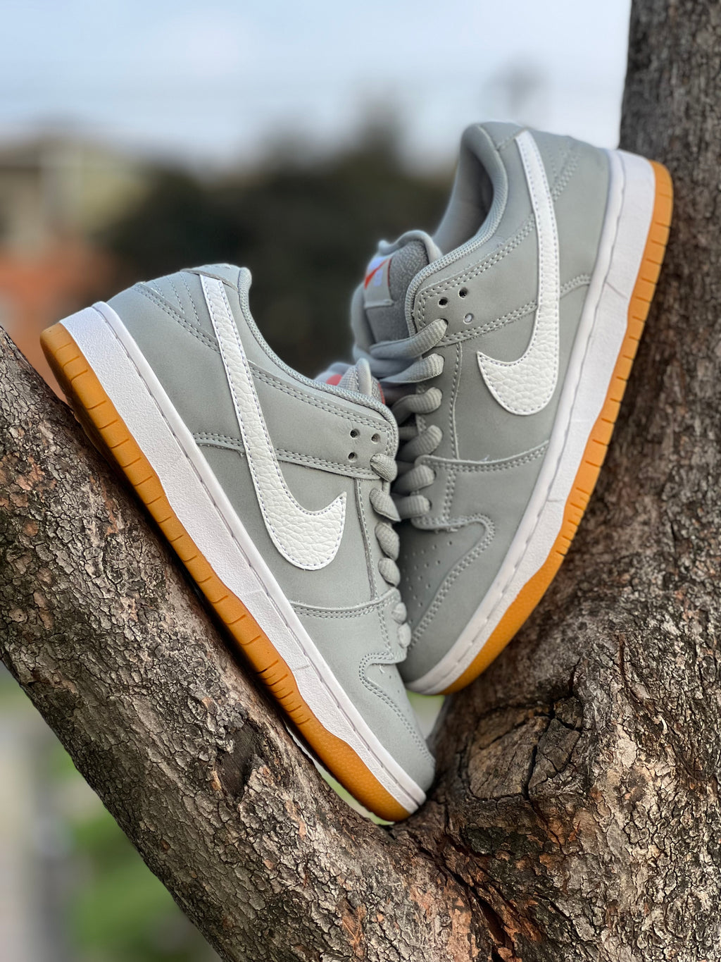 Las Nike SB Dunk Low Pro ISO “Wolf Grey”