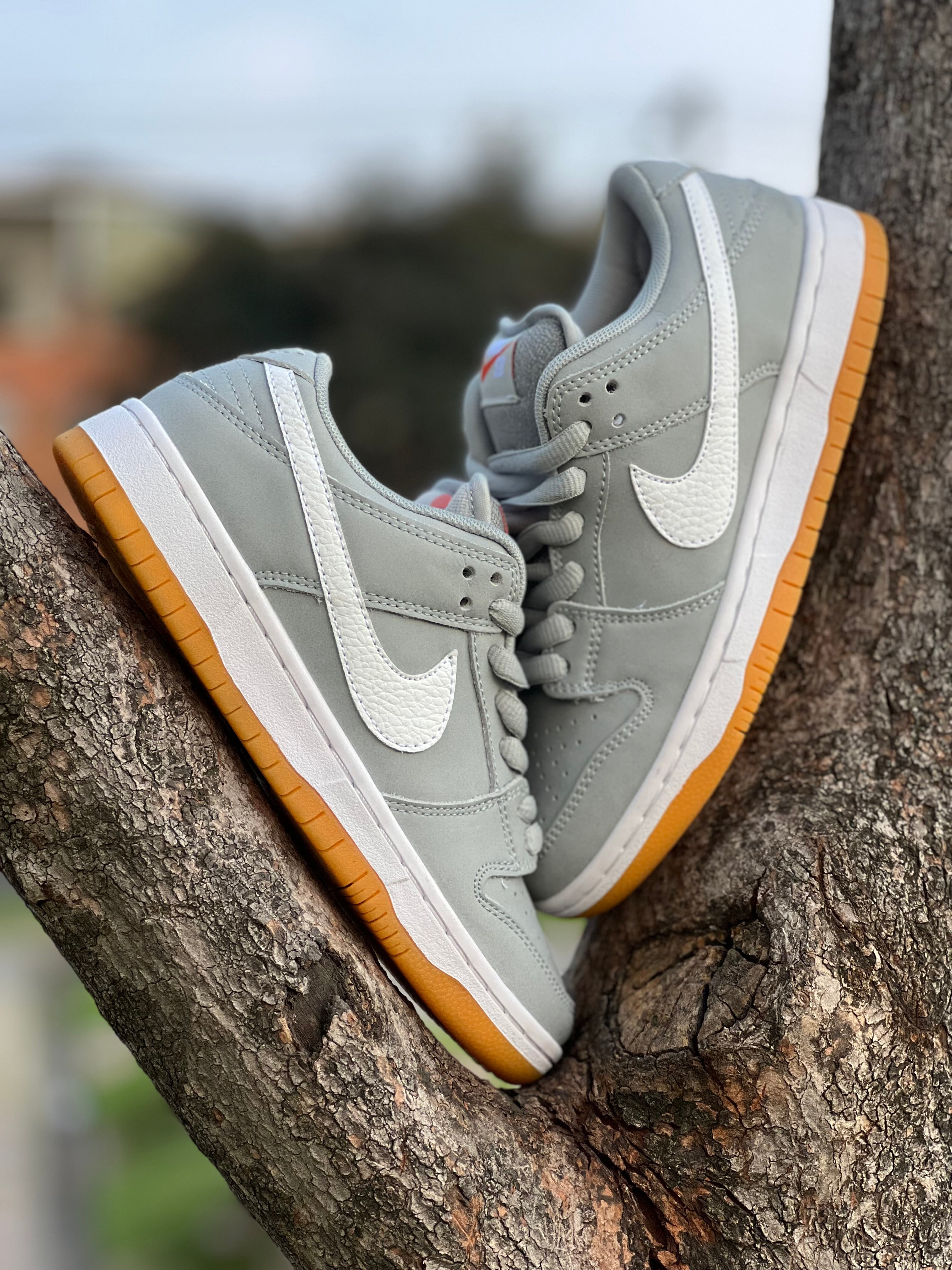 Las Nike SB Dunk Low Pro ISO “Wolf Grey”