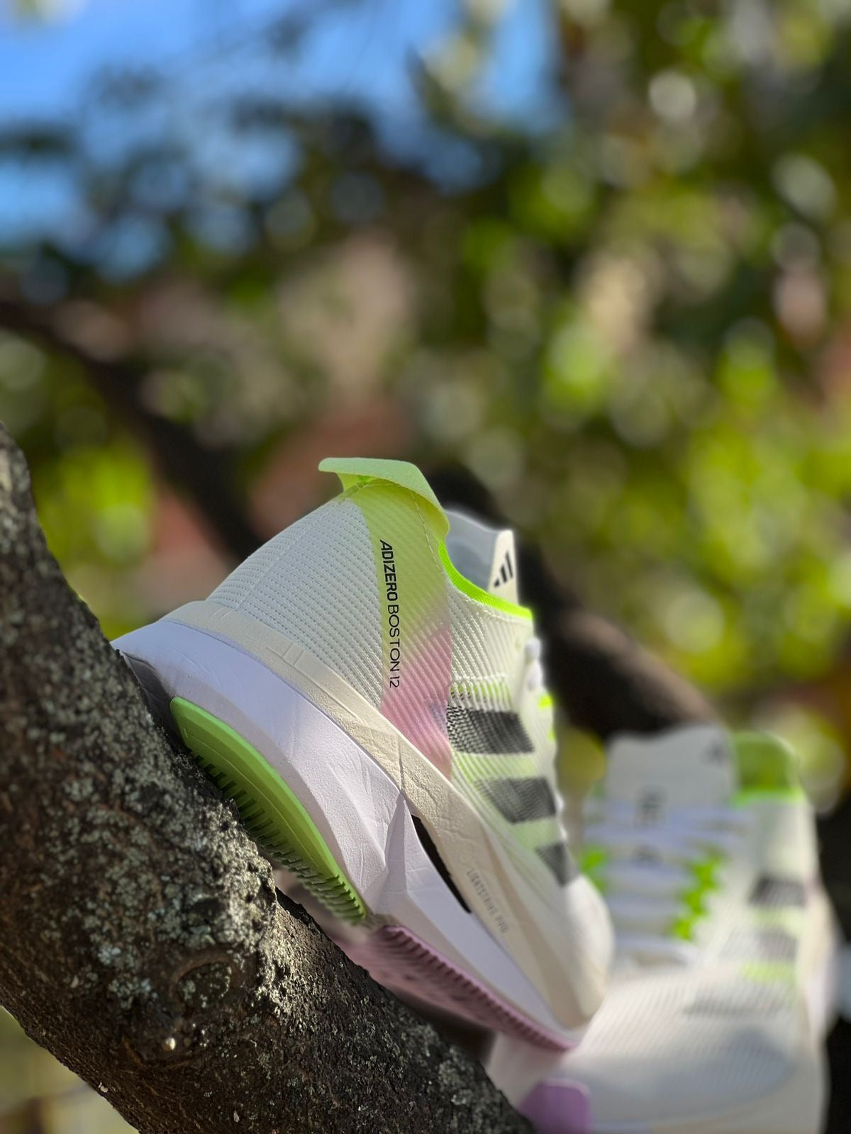 Adidas Adizero Boston 12 ‘White Green Spark’