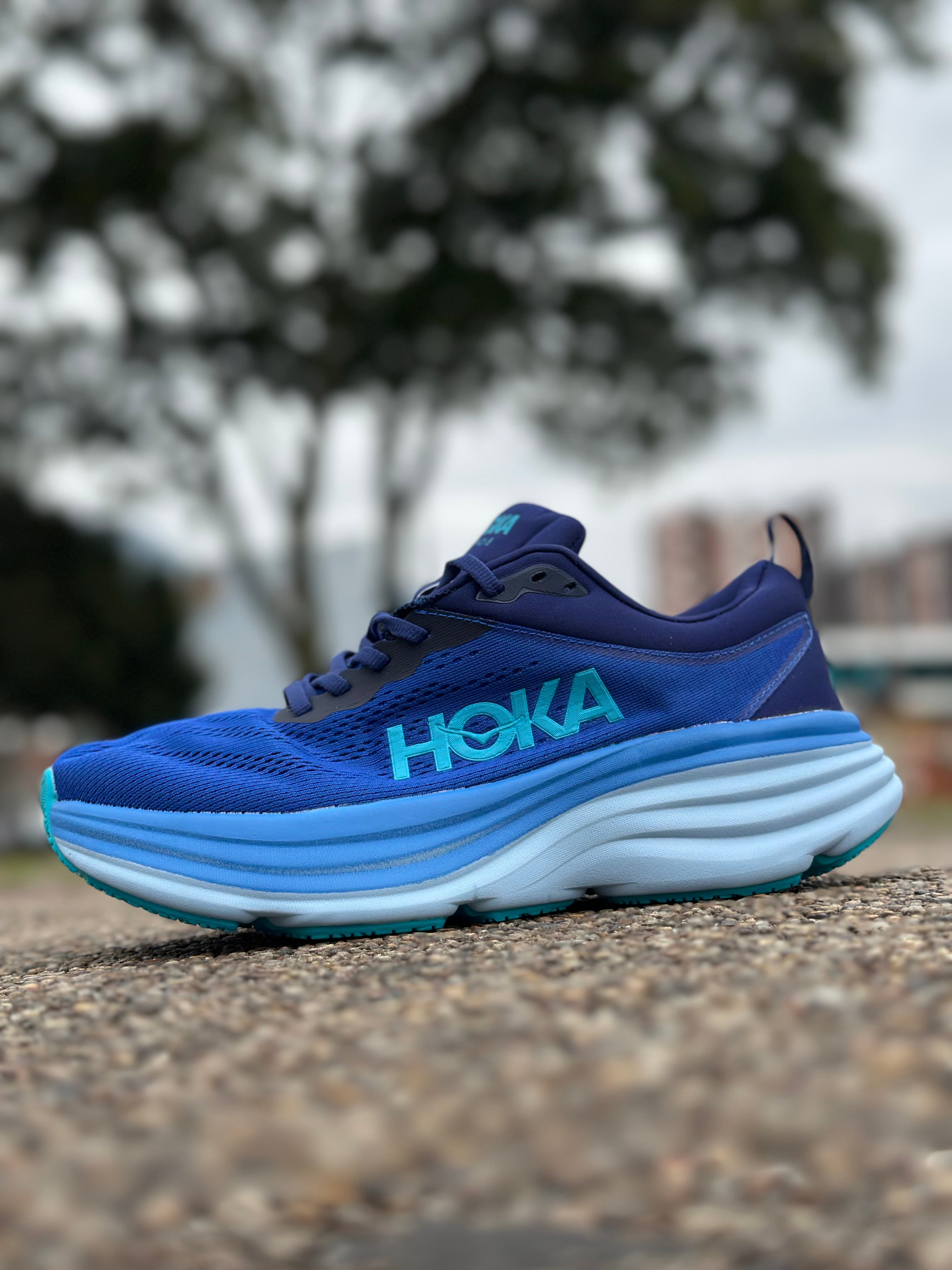 HOKA Bondi 8 – Blue Graphite / Blue Coral