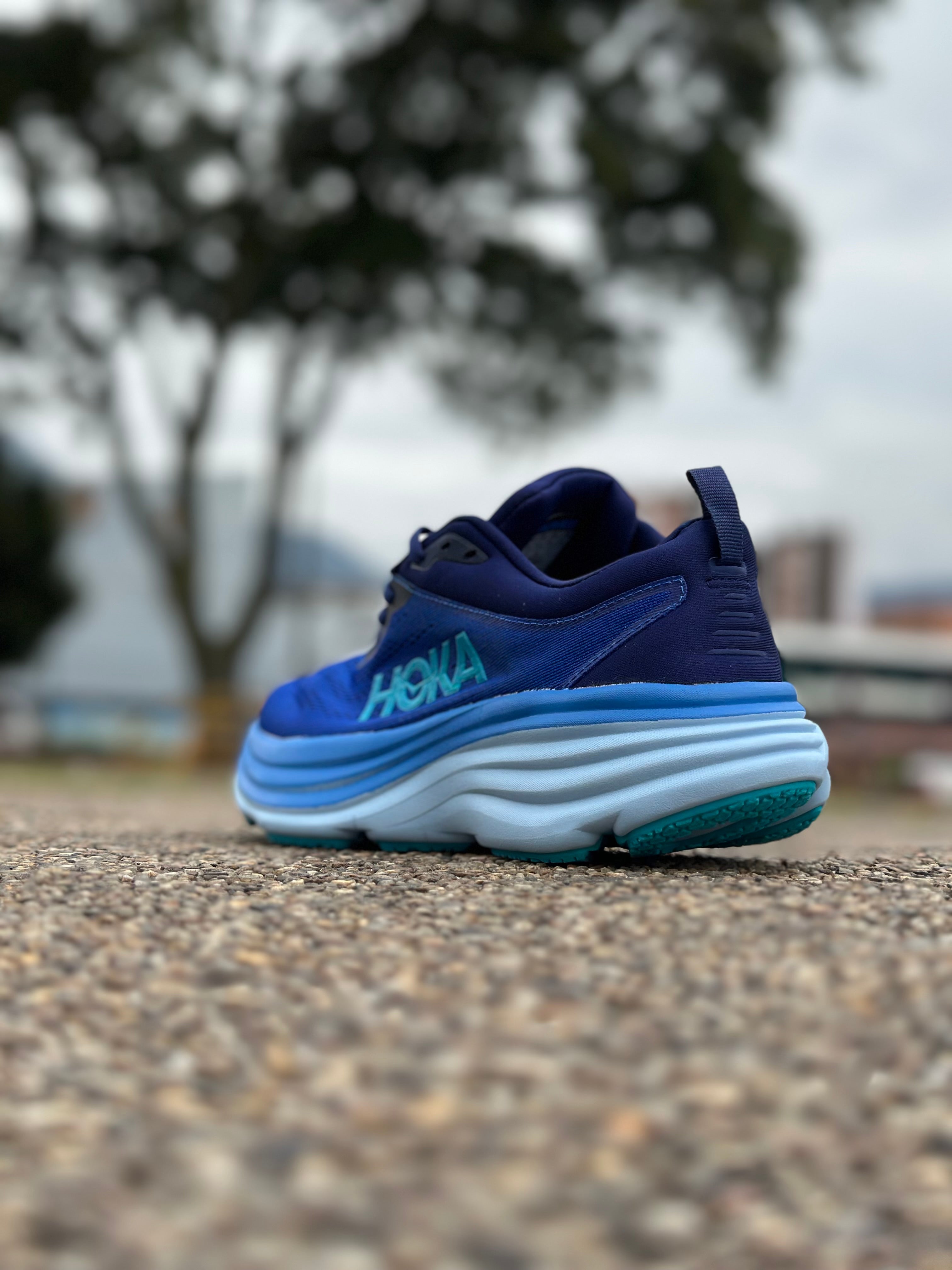 HOKA Bondi 8 – Blue Graphite / Blue Coral
