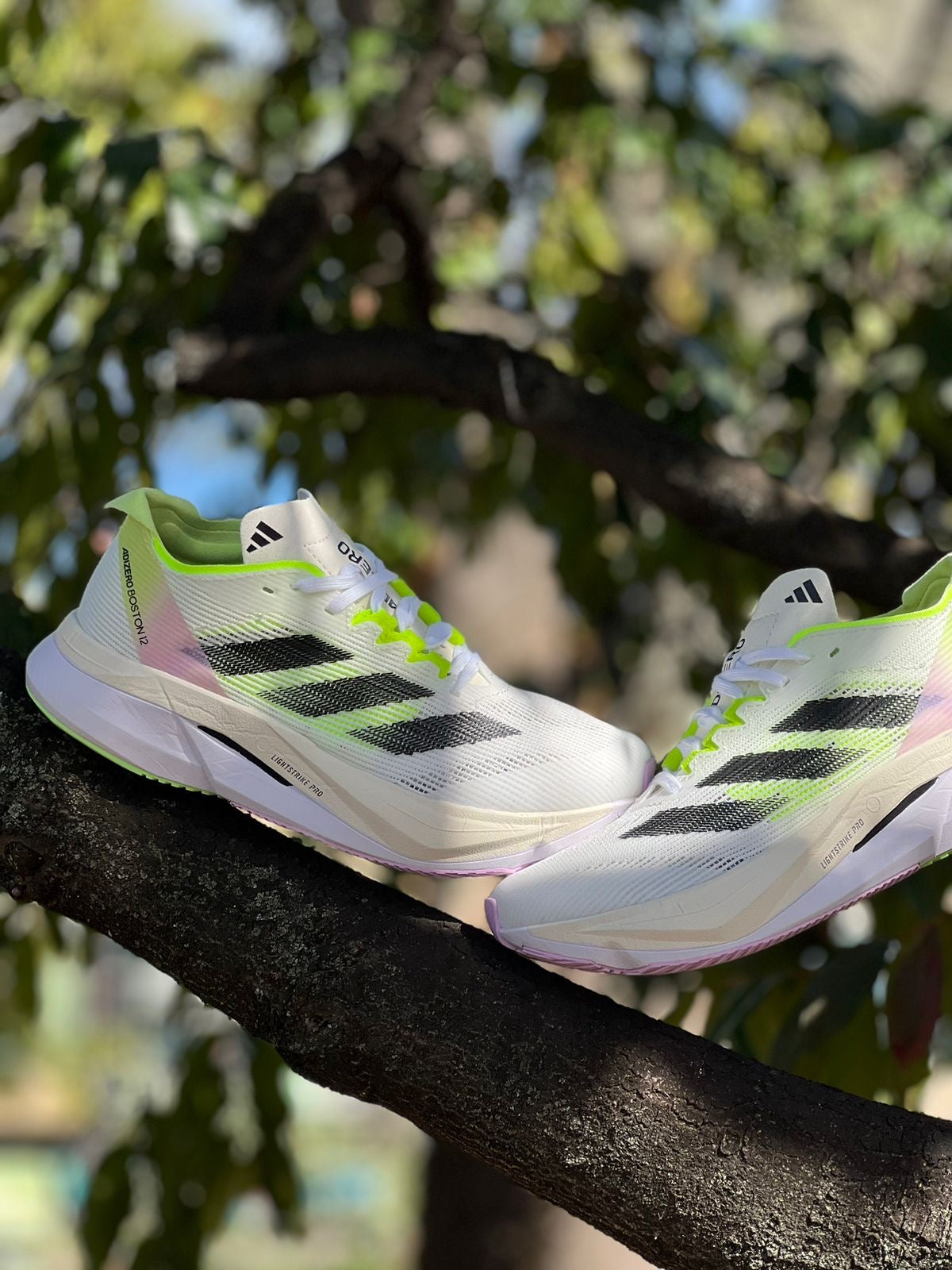 Adidas Adizero Boston 12 ‘White Green Spark’