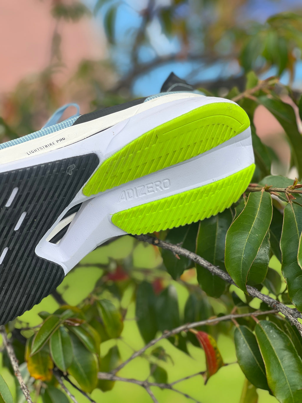 Adidas Adizero BOSTON 12