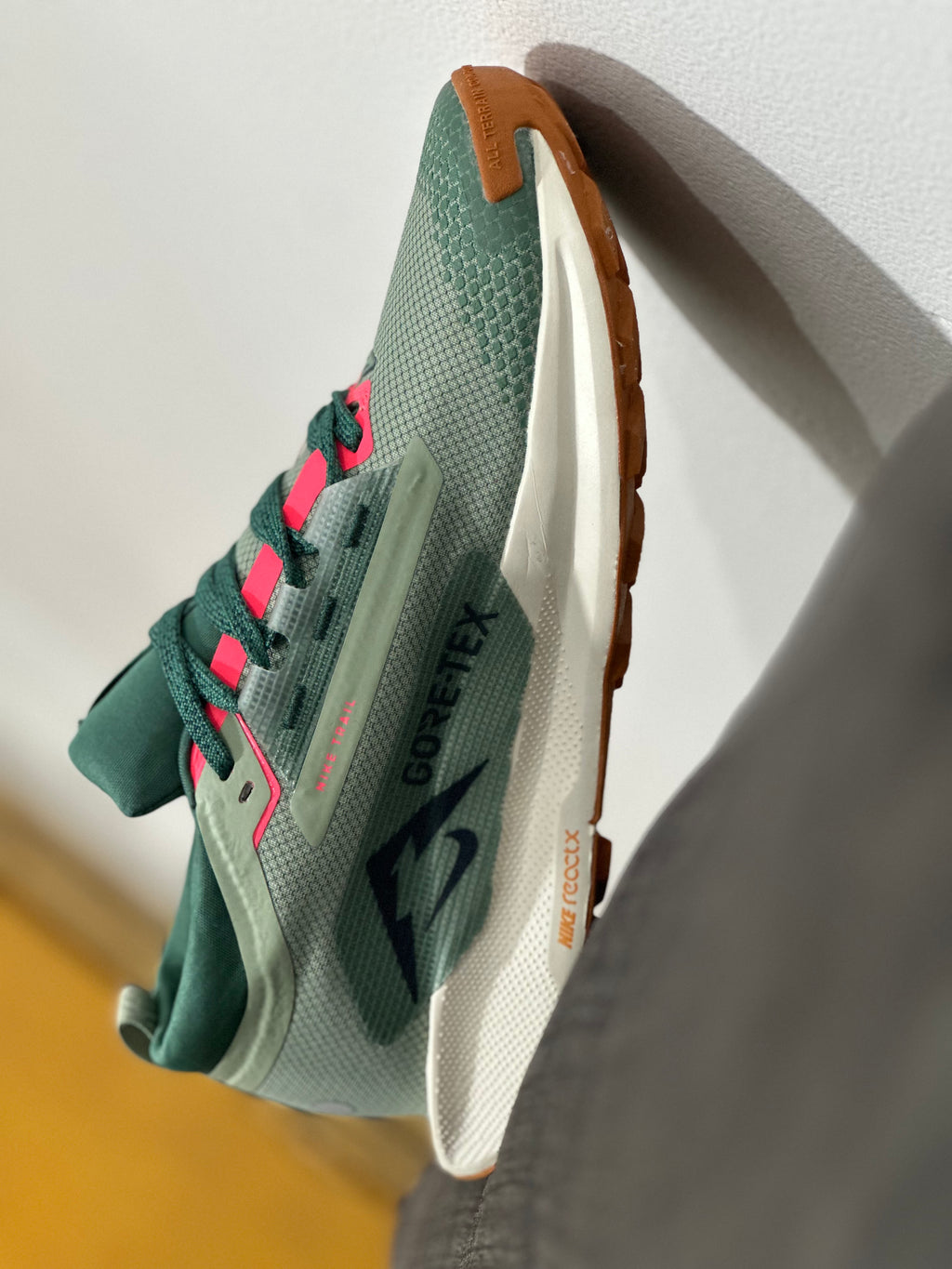 Nike Pegasus Trail GTX (GORE-TEX)