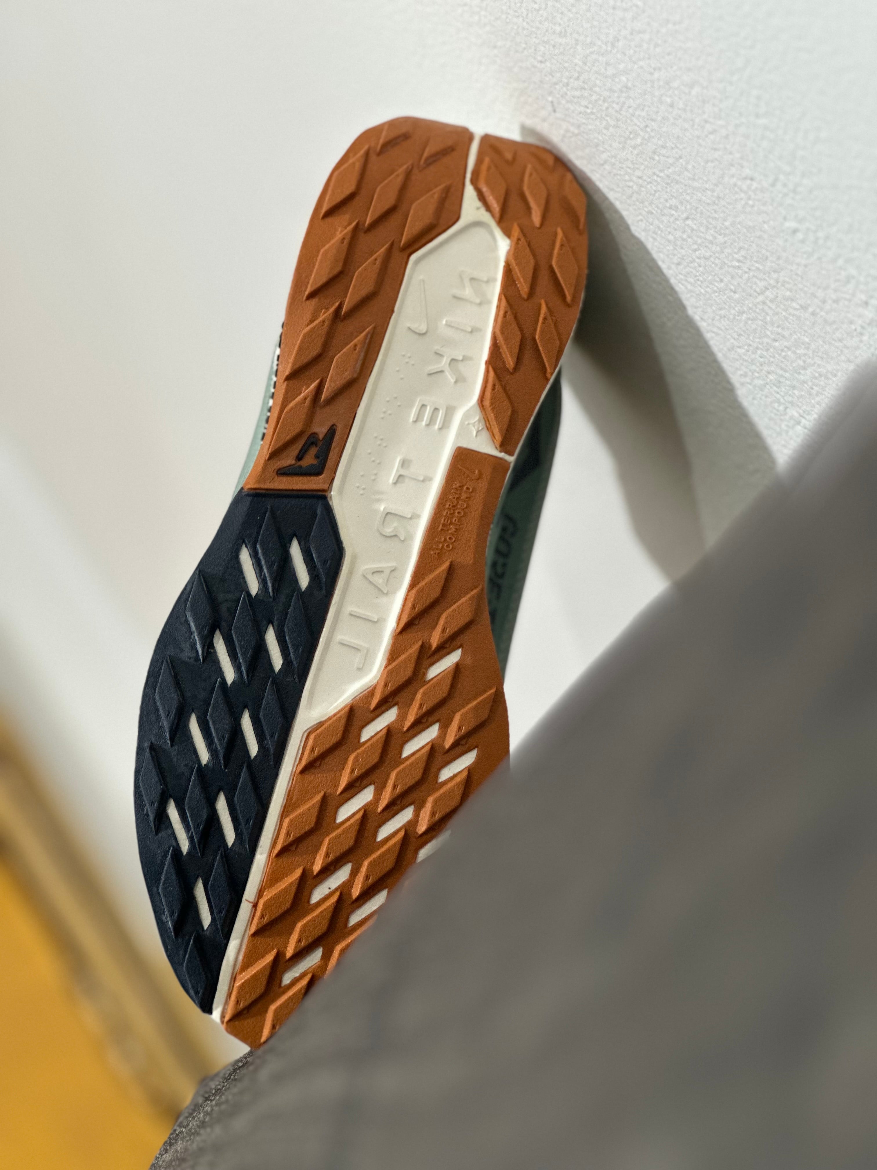 Nike Pegasus Trail GTX (GORE-TEX)