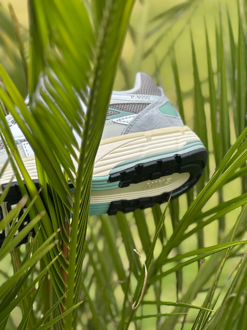 Nike P-6000