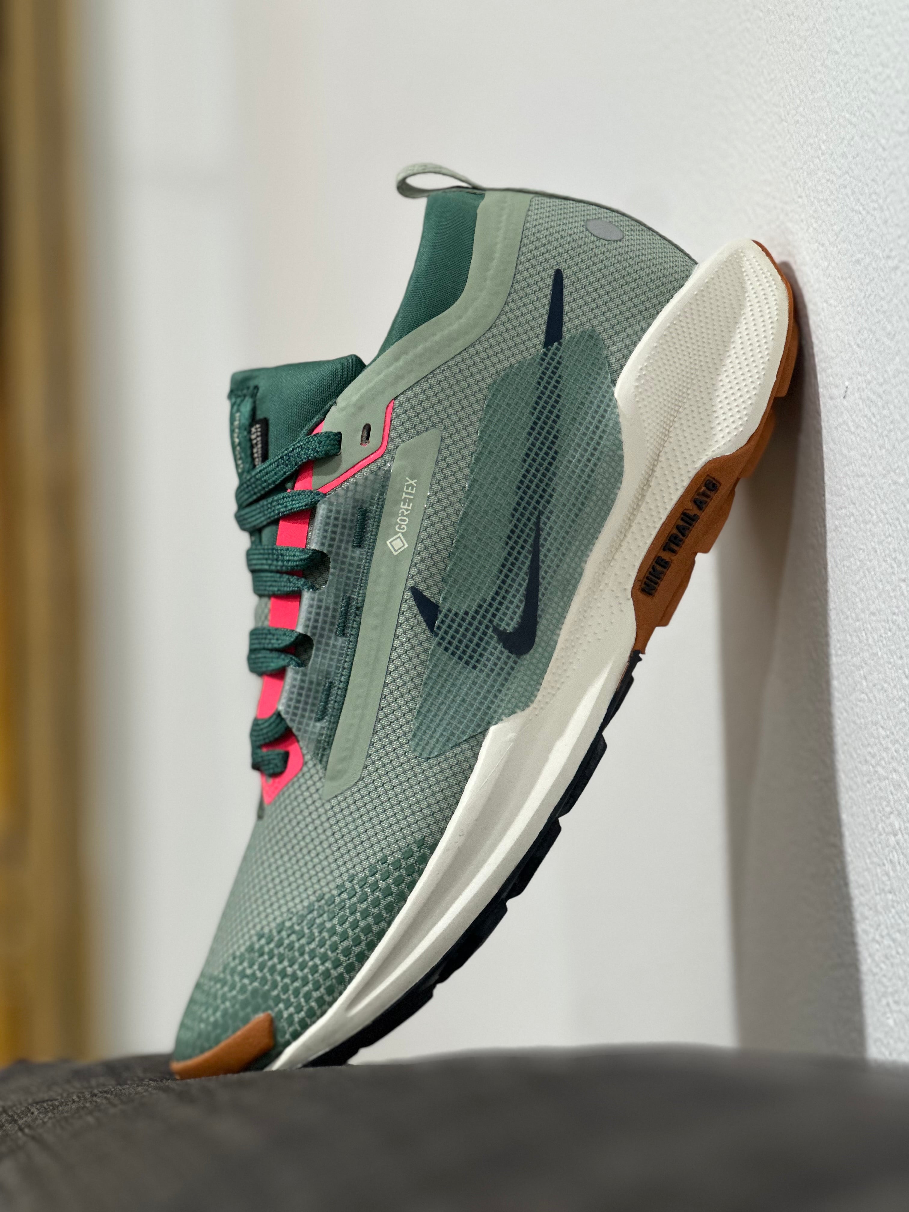 Nike Pegasus Trail GTX (GORE-TEX)