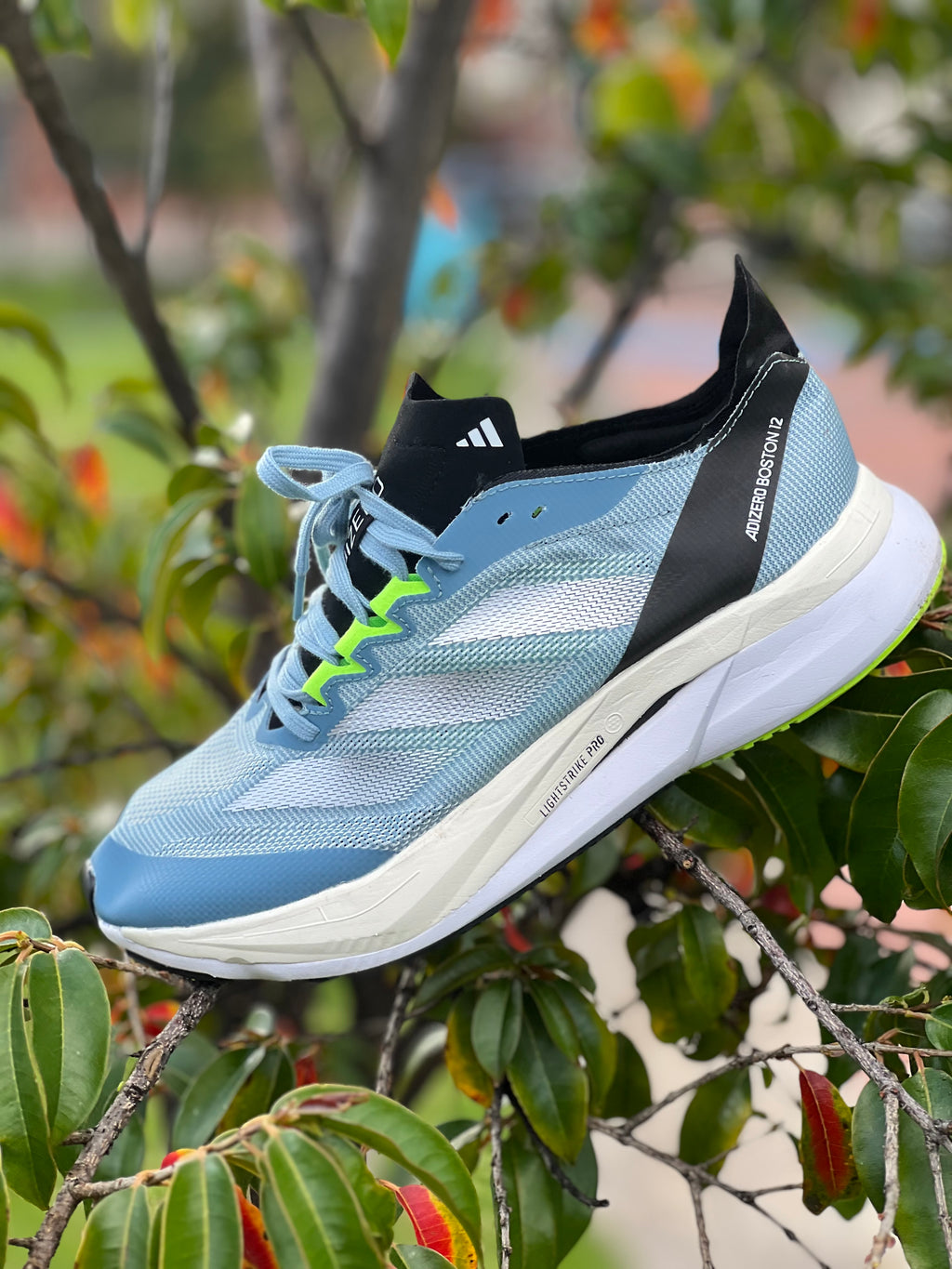 Adidas Adizero BOSTON 12
