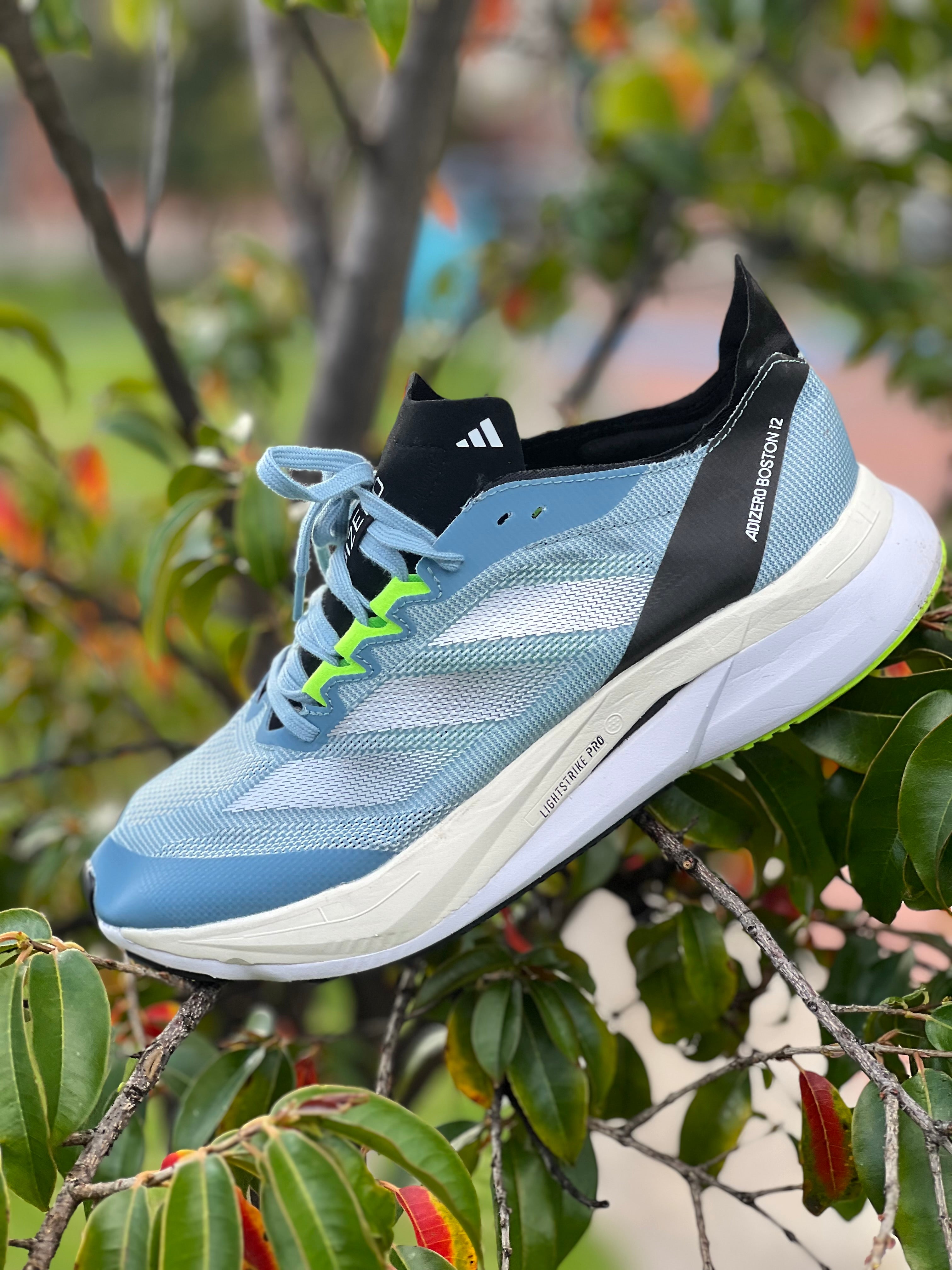 Adidas Adizero BOSTON 12